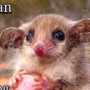 Meet your Posher, Kayci